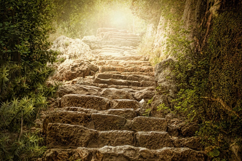 Journey Back To You