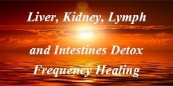 Organ Detox Frequency Healing