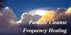 Parasite Cleanse Frequency Healing