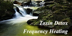 Toxin Detox Frequency Healing