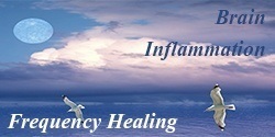 brain inflammation healing