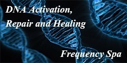 dna activation and repair