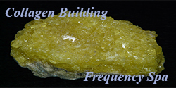 collagen building