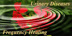 urinary diseases healing