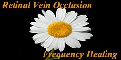 retinal vein occlusion healing