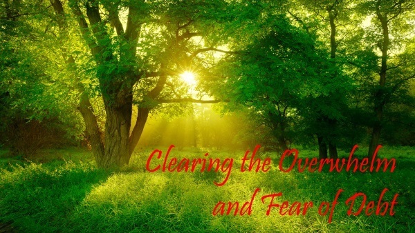 Clearing the Overwhelm and Fear of Debt